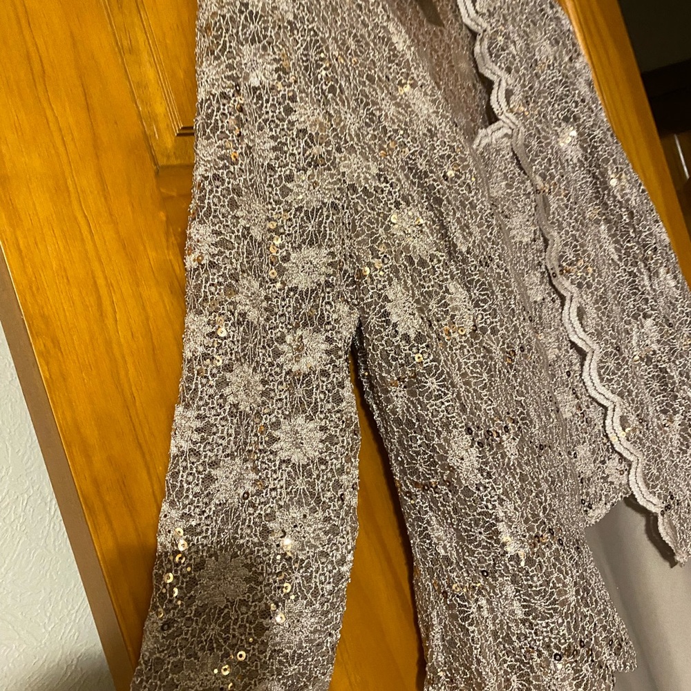 Alex Evenings Dress Champagne Size 12